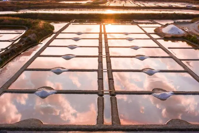 Les Pieds Dans Le Sable Appartement *